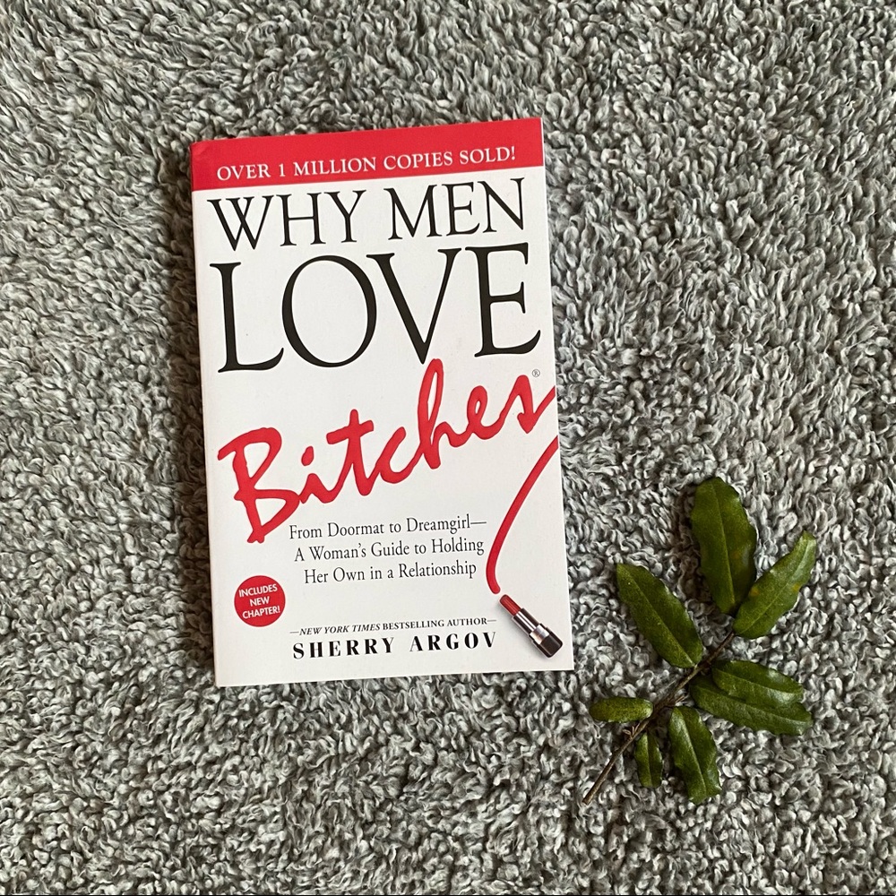 Why Men Love Bitches Book